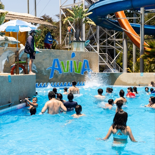 mais recente caso da empresa sobre Chile Parque Aquático Aviva