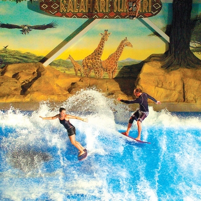 Apreciando o passeio da água de Flowrider, placa do patim da onda/divertimento atrativos surfando parque do Aqua