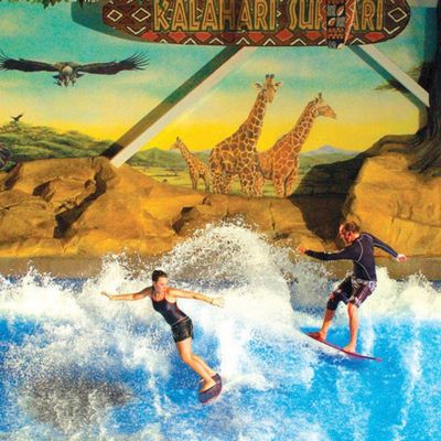 Simulador de Surf Flowrider OEM com Bomba de Água de 65kw e PVC Macio Resistente para Parques Aquáticos 15,3m*9,3m
