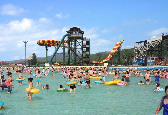 Equipamento personalizado do parque da água que excita Waterslides da fibra de vidro da associação de Swwiming para adultos