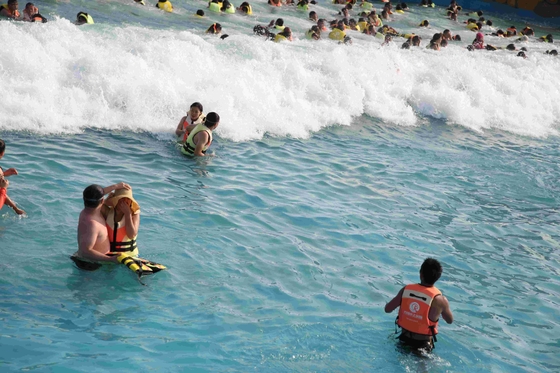 Equipamento da associação da onda do parque do Aqua, máquina da onda de Waterpark para o divertimento da família