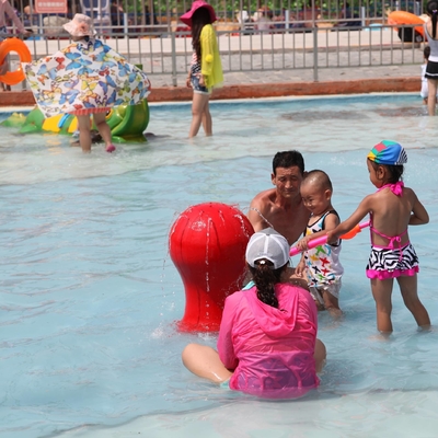 Equipamento personalizado do parque do pulverizador da caixa da carpa para o divertimento das crianças/crianças na piscina